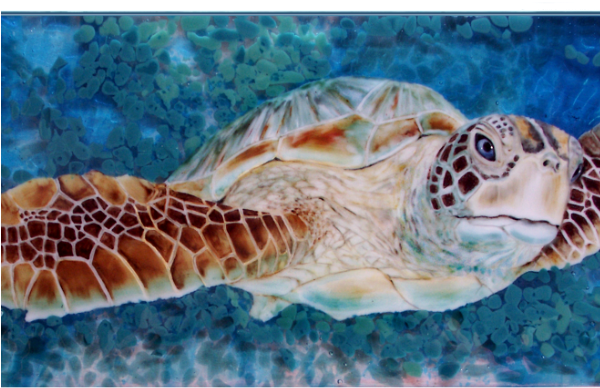 Hanging Sea Turtle - Ferguson Graphics (599x450), Png Download