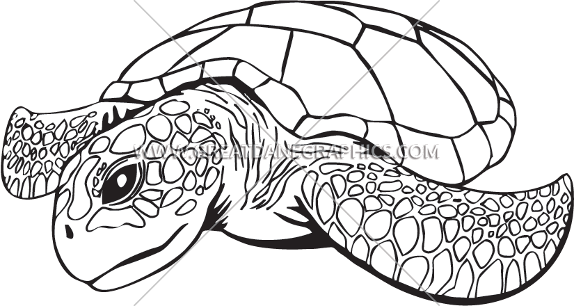 Sea Turtle - Sea Turtle Line Art (825x440), Png Download