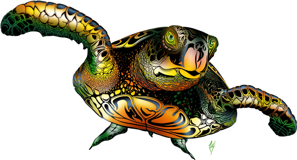 Sea Turtle - Colored - Illustration (600x600), Png Download