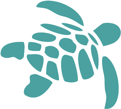Green $5,000 - Green Sea Turtle Icon (432x407), Png Download