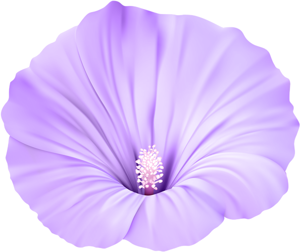 Violet Flower Png - Violet Flower Transparent (600x504), Png Download
