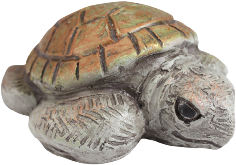 Sea Turtle (500x347), Png Download