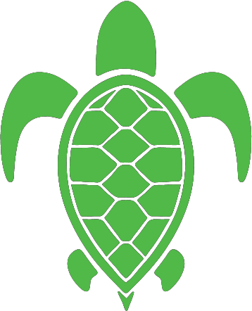 Endangered Green Sea Turtle Membership - Sea Turtle (358x442), Png Download
