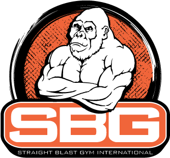 Mixed Martial Arts Training, Self Defense, And Fitness - Straight Blast Gym Logo (406x320), Png Download
