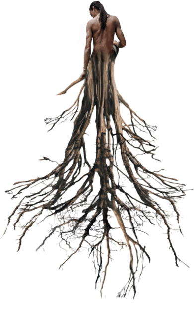 Man Tree Png Stock Floating Island Surreal Figure By - Tree Roots Png (1006x794), Png Download