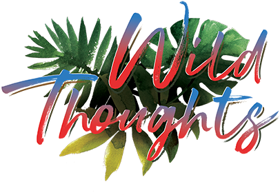 Dj Khaled T-shirts - Dj Khaled (420x480), Png Download