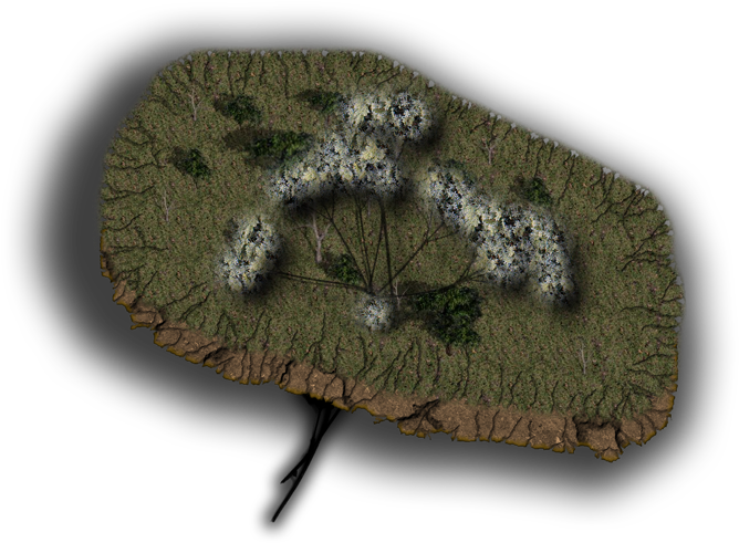 Rinse, Lather, Repeat To Create Many Different Levels - Dundjinni Island (731x568), Png Download