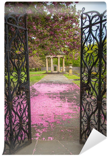 Garden Path Covered In Cherry Blossom Petals And Gazebo - Deception At The Oasis [book] (400x400), Png Download