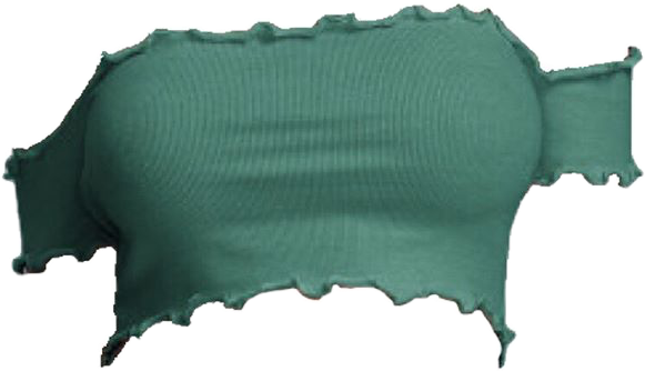 Report Abuse - Green Crop Top Png (581x334), Png Download