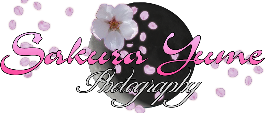 What Is Stand Alone Cosplay - Cherry Blossom (960x374), Png Download