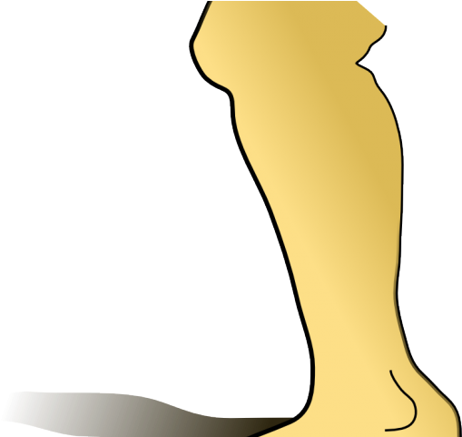 Clipart Owl Foot - Crus (640x480), Png Download