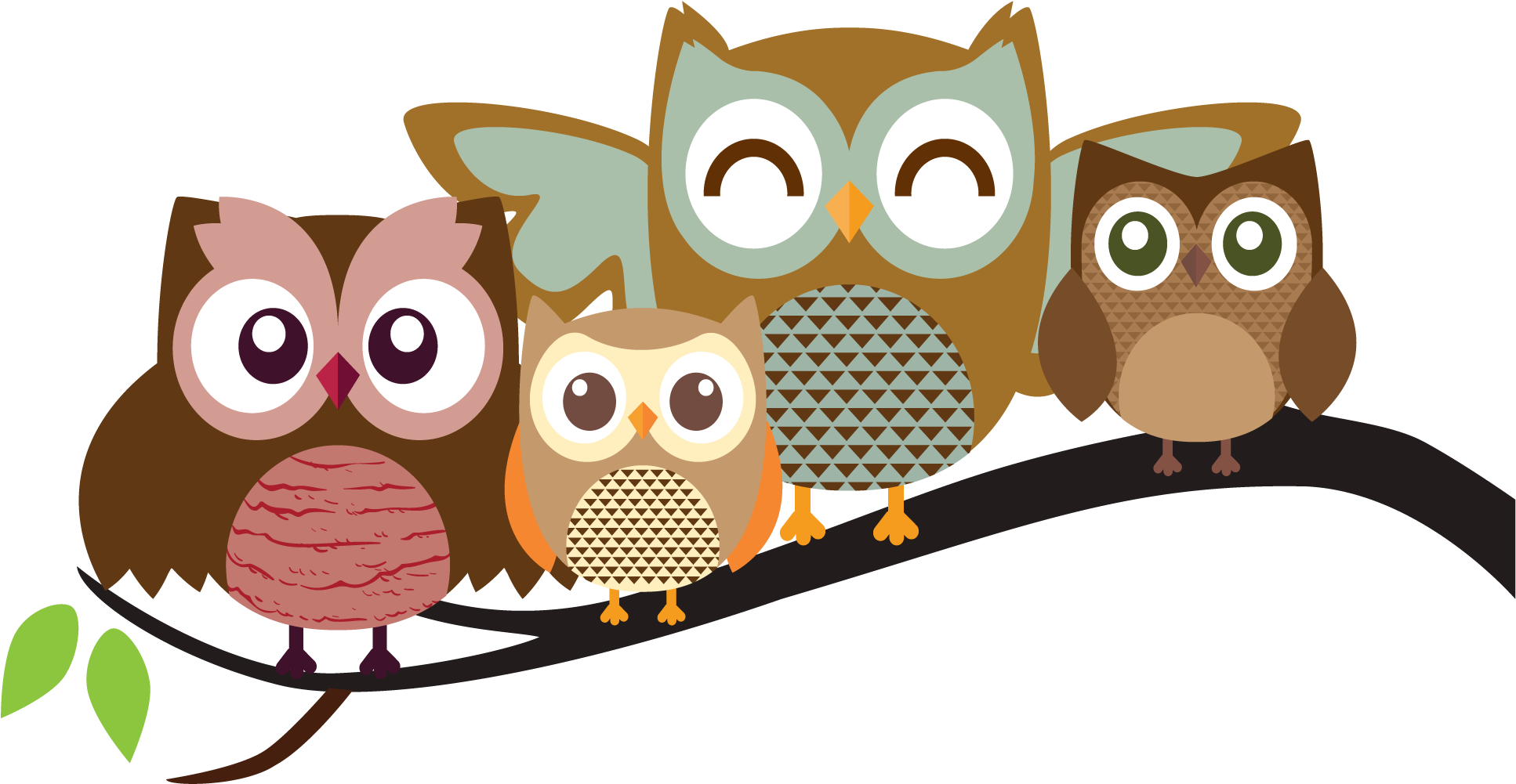 Opportunities Cartoon Owl Picture Authentic Owls Pictures - Owl Cartoons (2000x1064), Png Download