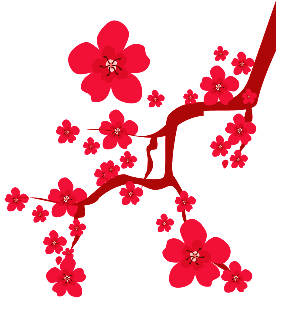 Korean Cherry Blossom Transparent - Red Cherry Blossoms Cartoon (1024x1110), Png Download