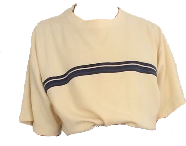 Cream Shirt / Polyvore Cream Shirt, Sweater Shirt, - Black Crop Top Png Niche Memes (640x505), Png Download