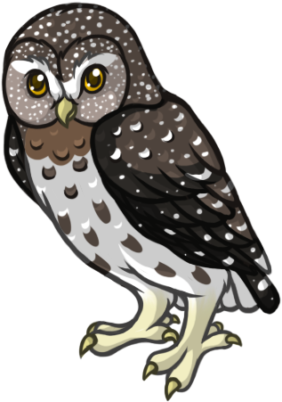 To The Sky - Pygmy Owl Transparent (371x464), Png Download