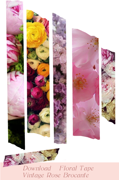 Vintage Rose Brocante » A Source For Inspirationdigital - Floral Washi (500x800), Png Download