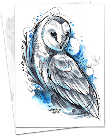 Barn Owl (392x500), Png Download