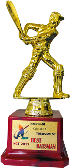 Fiber Trophies @ Creativeawardsandgifts - Trophy (430x555), Png Download