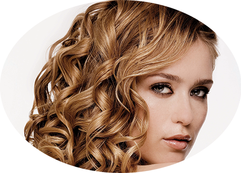 Bridal / Formal / Special Events Jd Retouche Model - Volume (495x355), Png Download