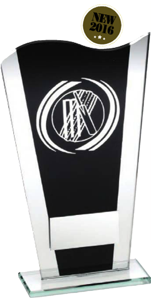Cricket Trophy - Black Glass - Glass Cricket Trophy (459x600), Png Download
