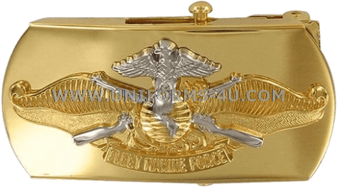 Belt Buckle (500x281), Png Download
