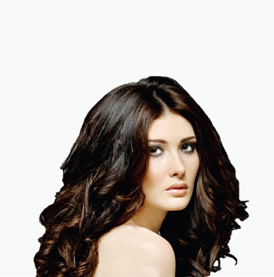 Brunett1 Man1 Blond2 Man2 - Lace Wig (540x546), Png Download