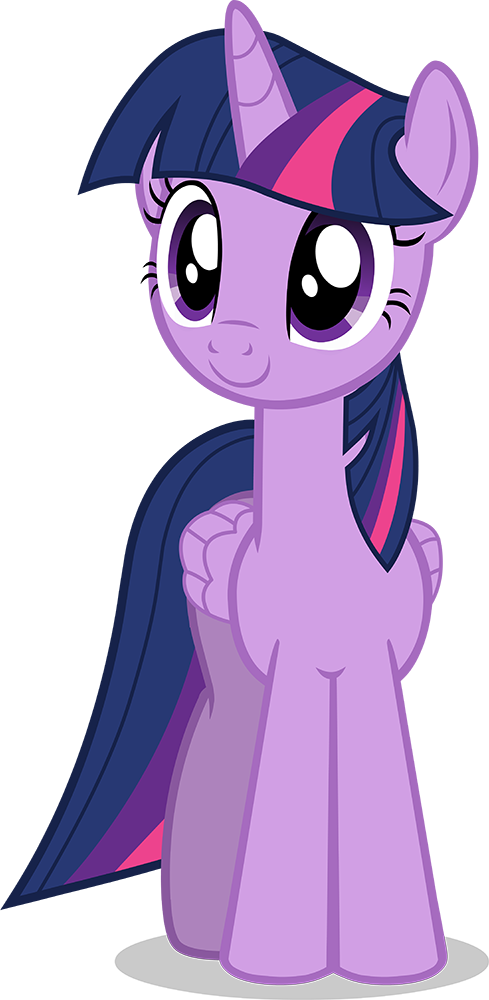 Twilight Sparkle - Mlp Twilight Sparkle Alicorn (489x1000), Png Download