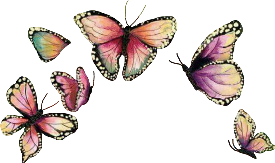 Butterfly Crown Butterflywings Mariposa Sticker - Butterfly Crown Transparent (928x551), Png Download