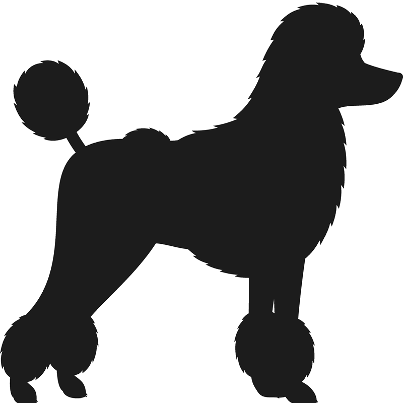 Toy Poodle Silhouette At Getdrawings - Poodle Silhouette Png (800x800), Png Download