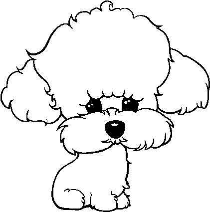 Cachorro De Poodle - French Poodle Para Colorear (600x470), Png Download