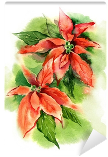 Watercolor Poinsettia Wall Mural • Pixers® • We Live - Illustration (400x400), Png Download