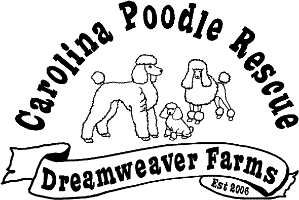 Graphic Free Download Available Dogs Carolina Rescue - Carolina Poodle Rescue Logo (600x408), Png Download