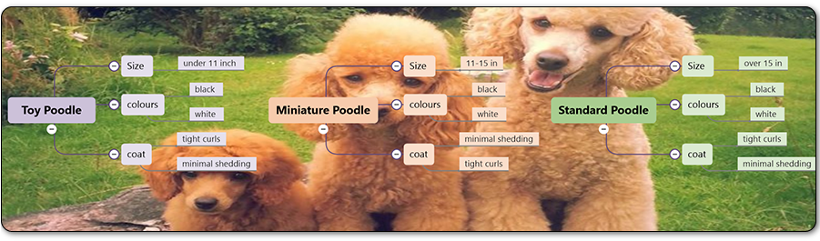 Ttt-01 - Portable Network Graphics (900x330), Png Download