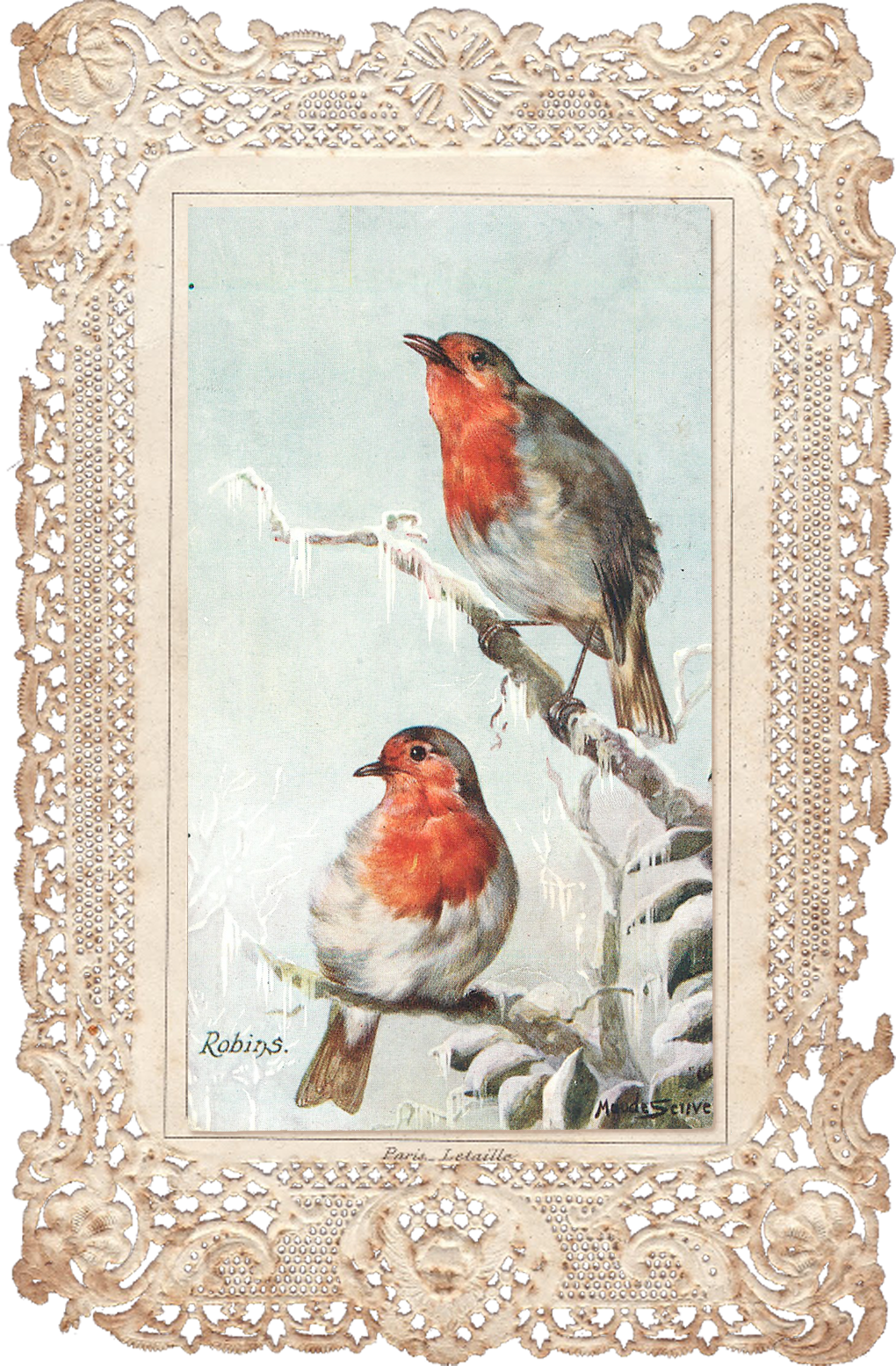 Wings Of Whimsy - Bird (825x1258), Png Download