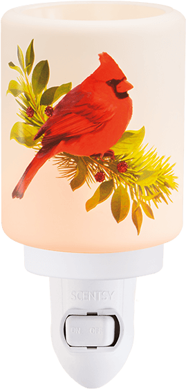 Christmas Cardinal Mini Warmer - Scentsy (600x600), Png Download