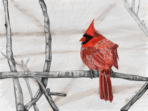 Digital Art &photography - Digital Art (480x360), Png Download