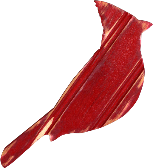 Enter Your Keyword - Electric Ray (600x600), Png Download