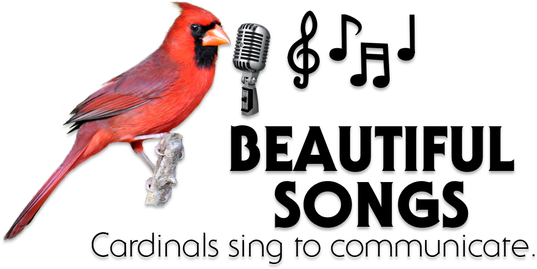 Cardinal Png Alpha - Clip Art (1280x720), Png Download