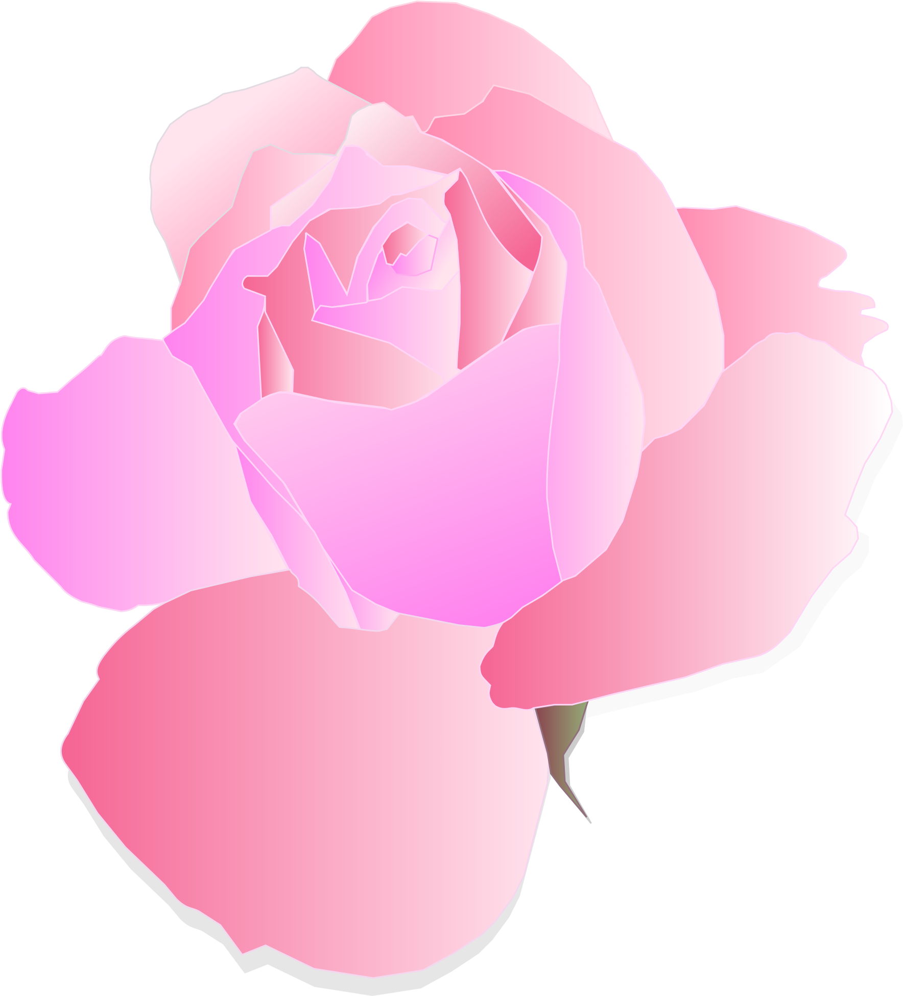 How To Set Use Pink Rose Clipart (540x596), Png Download