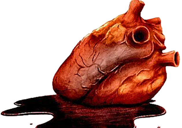 Human Heart Heart Art, My Heart, Human Heart Diagram, - Diagram Of Real Heart (630x444), Png Download