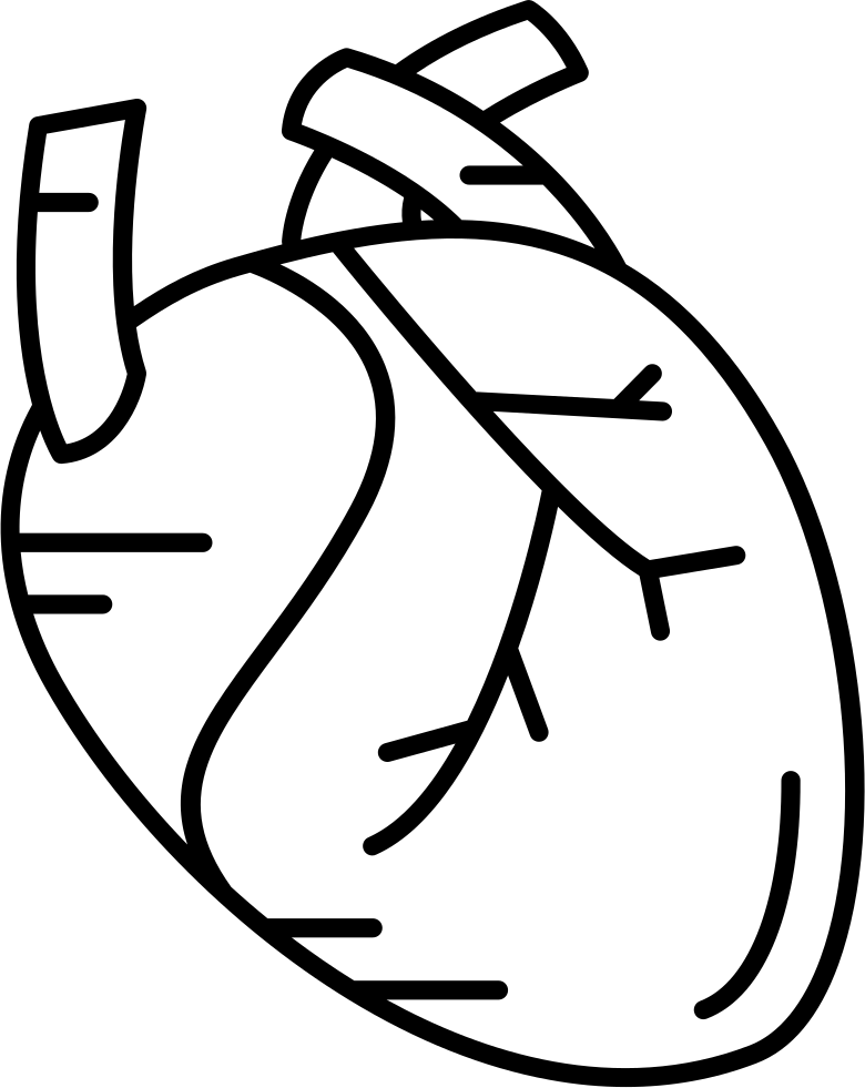 Human Heart - - Free Transparent Human Heart (780x981), Png Download