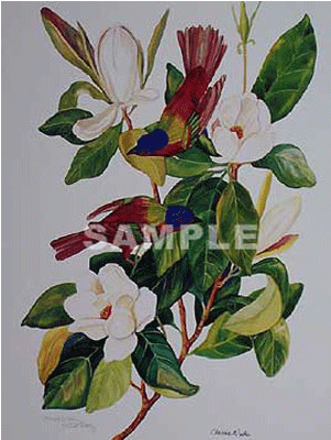 Carolina Paraquet & Painted Bunting Pair - Mountain Laurel (400x400), Png Download