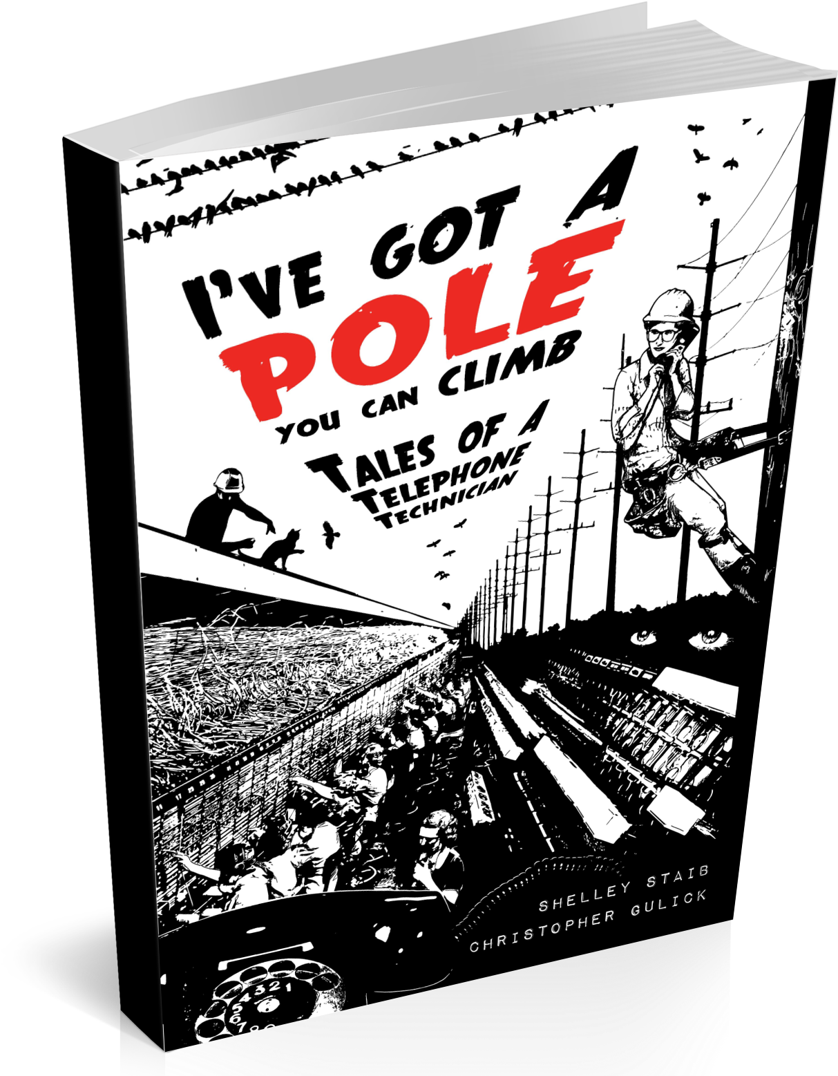 I've Got A Pole - Book (1500x1650), Png Download