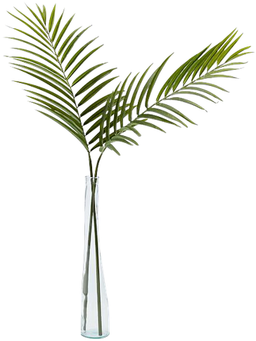 West Elm Palm Leaf (600x600), Png Download