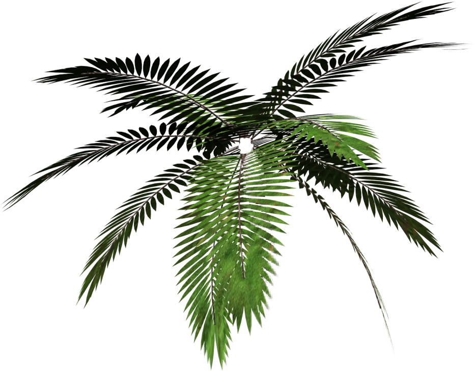 Report Abuse - Palm Tree Png Vaporwave (933x729), Png Download