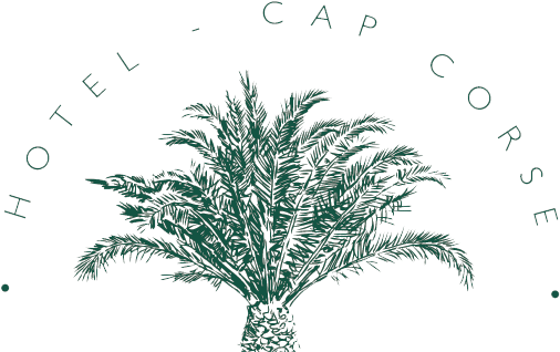 Logo-palm - Attalea Speciosa (522x317), Png Download