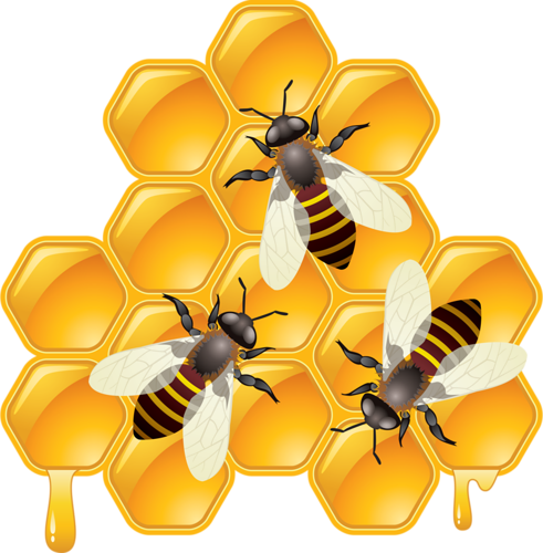 Bee Hive Clipart Queen Bee - Working Bees (491x500), Png Download