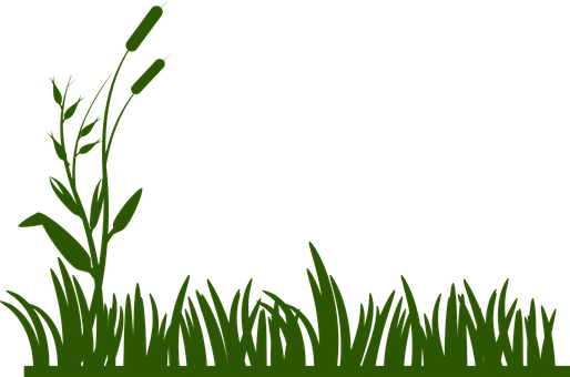 Grass Background Green Decoration Spring S - Grass Svg (514x340), Png Download