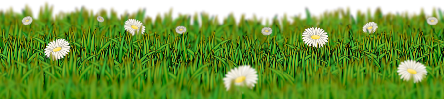 Download Meadow Png Clipart Desktop Wallpaper Clip Meadow Png Full Size Png Download Seekpng