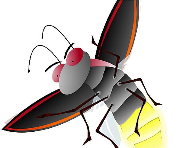 Fireflies Clipart Png (640x480), Png Download